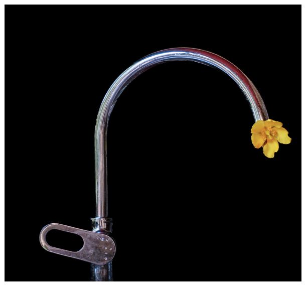 Robinet romantique   Impression sur Alu Dibond